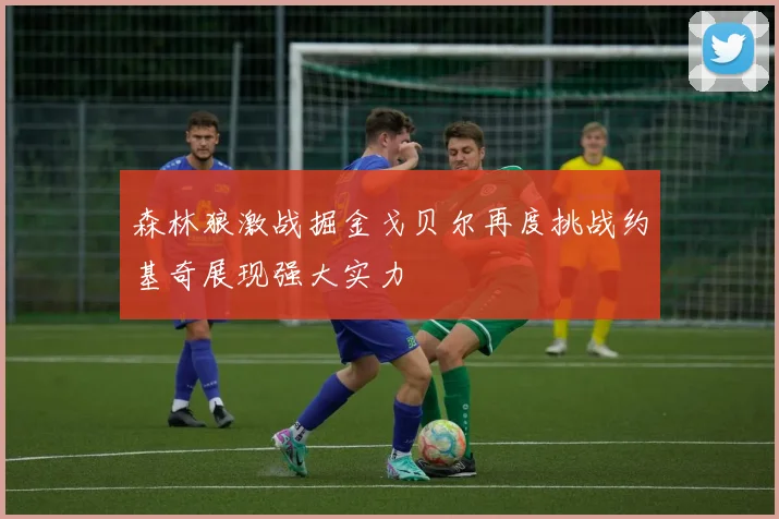 森林狼激战掘金戈贝尔再度挑战约基奇展现强大实力
