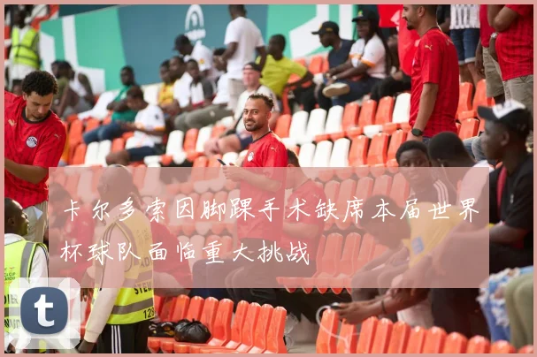 卡尔多索因脚踝手术缺席本届世界杯球队面临重大挑战